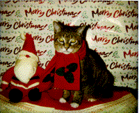 Boots at Christmas
